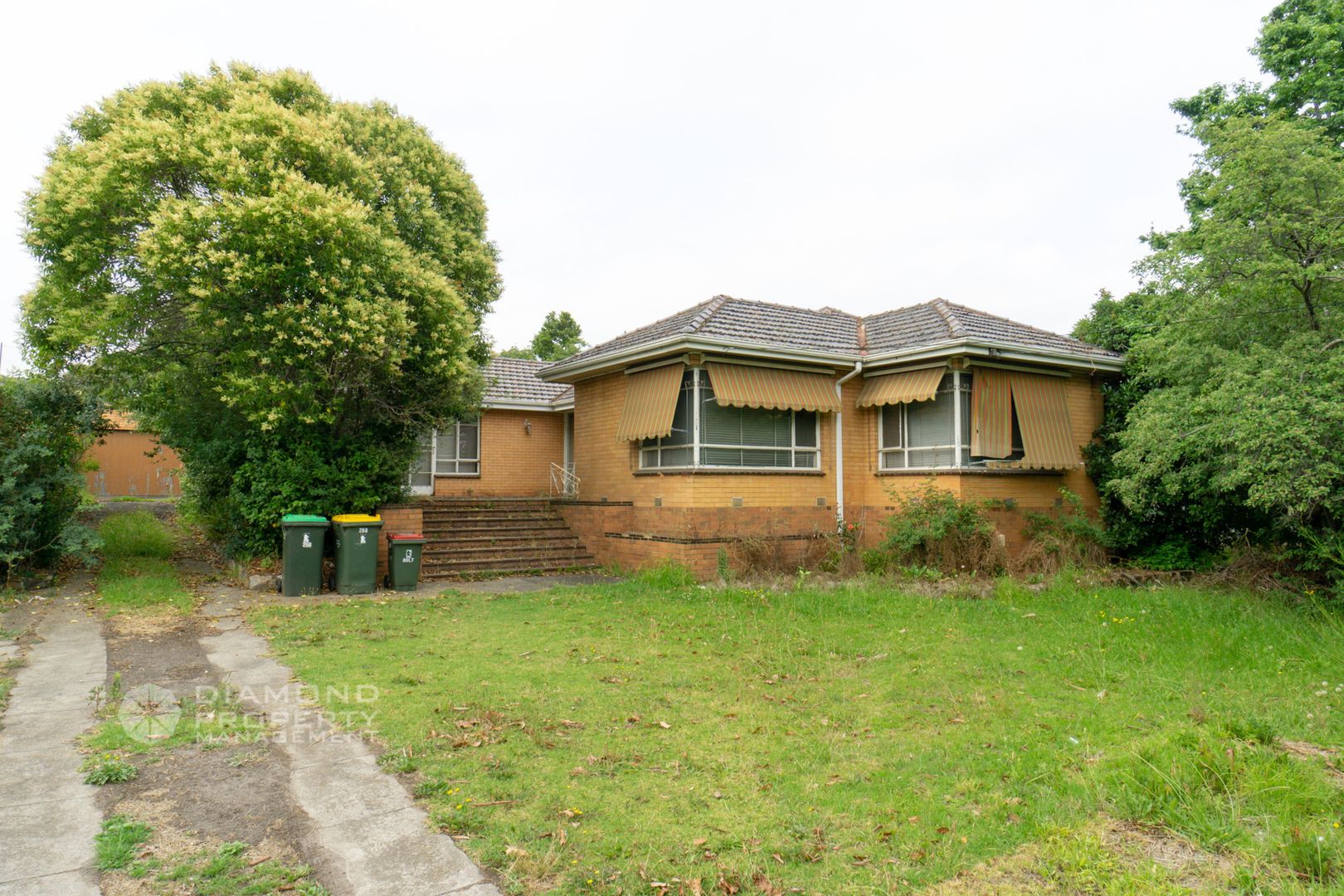 2XX Burwood Highway, Burwood VIC 3125 House For Rent 400 Domain