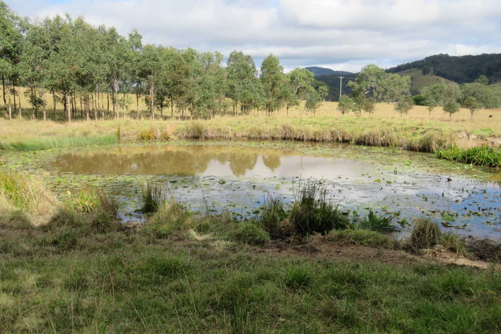 Lot 2 Clarence Way, Urbenville NSW 2475, Image 2