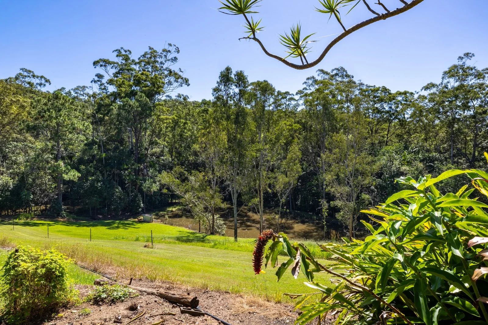 Additional image 27 of 43 Houghtons Road, Landers Shoot QLD 4555