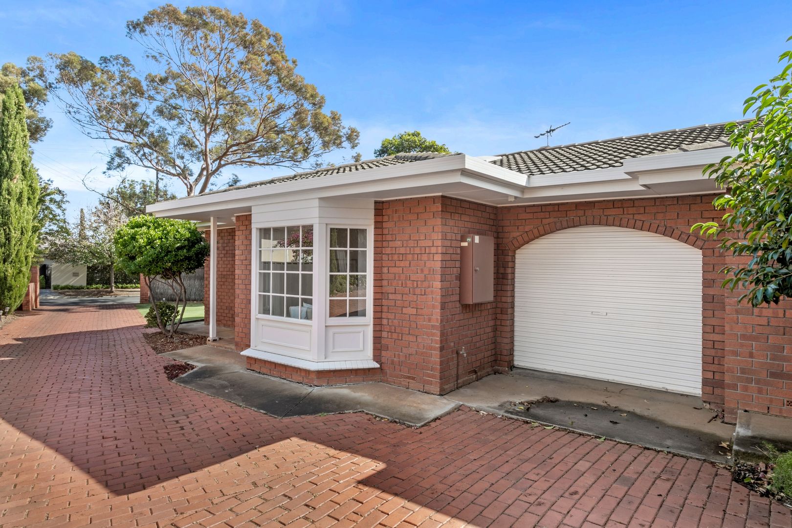 1/22 Torrens Street, Linden Park SA 5065, Image 1