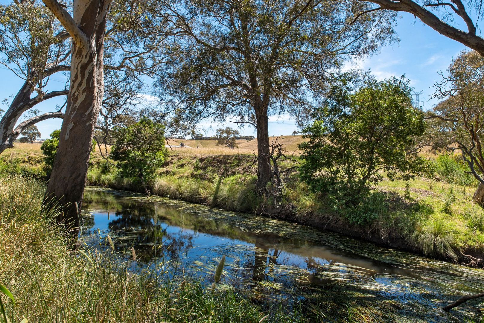 56 Buchter Road, Batesford VIC 3213 House for Sale Domain