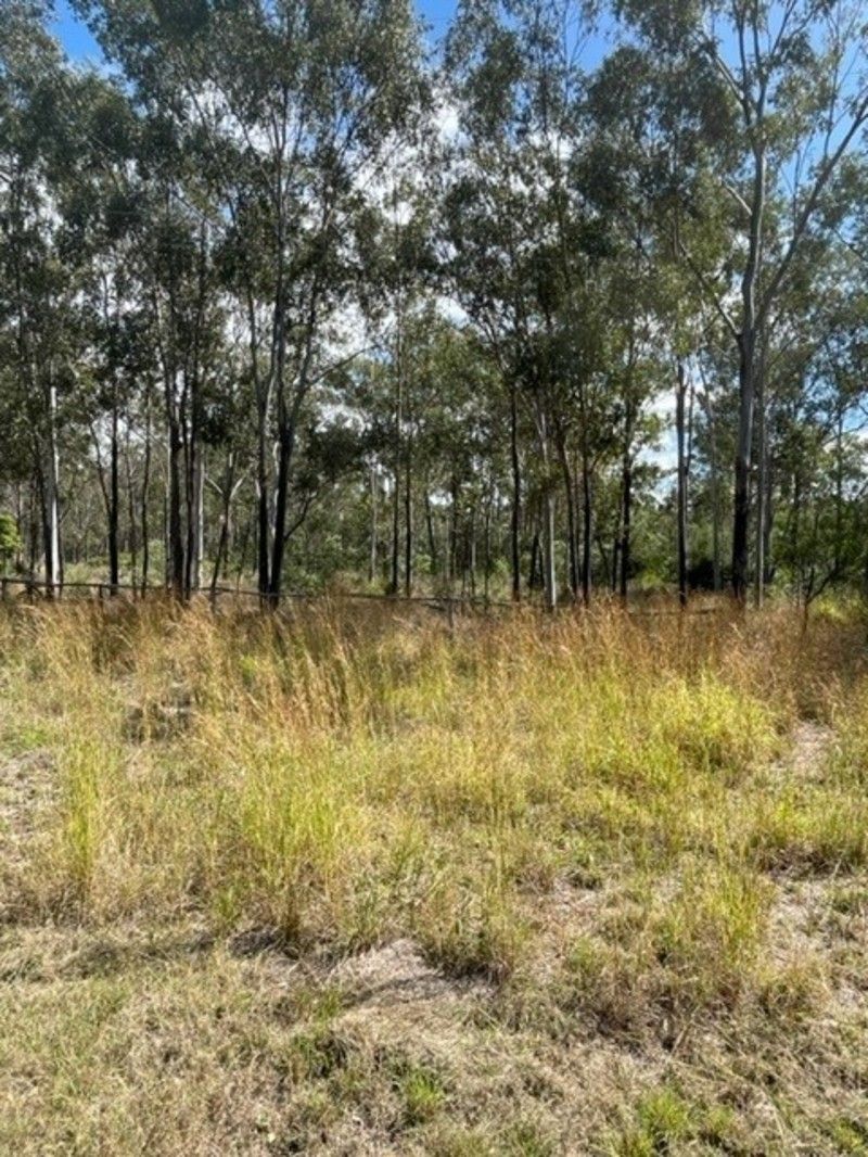 203 Darts Creek Road, Darts Creek QLD 4695, Image 0