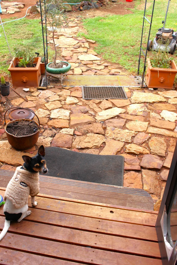 Additional image 29 of 2 Biamble Street, Merrygoen NSW 2831