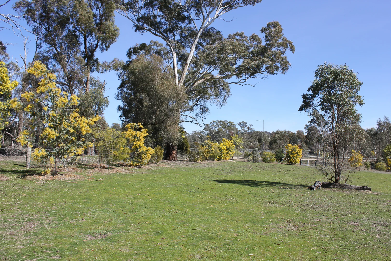 Image 8