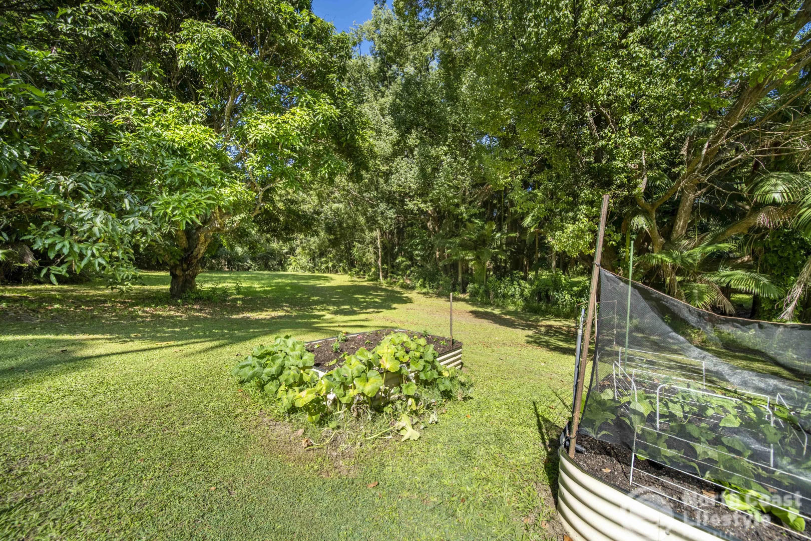 Additional image 35 of 3 Coolamon Avenue, Mullumbimby NSW 2482