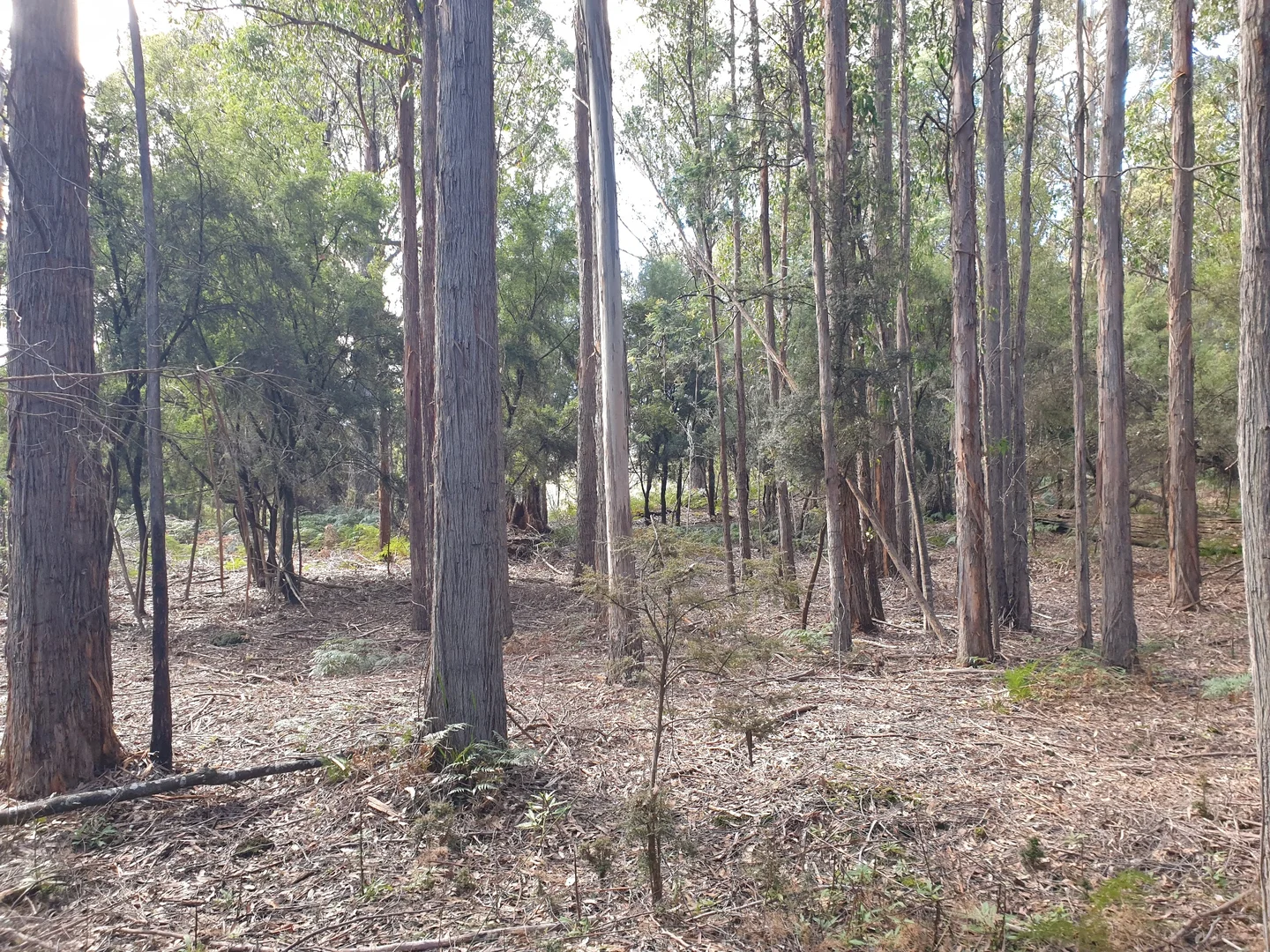 Image 12