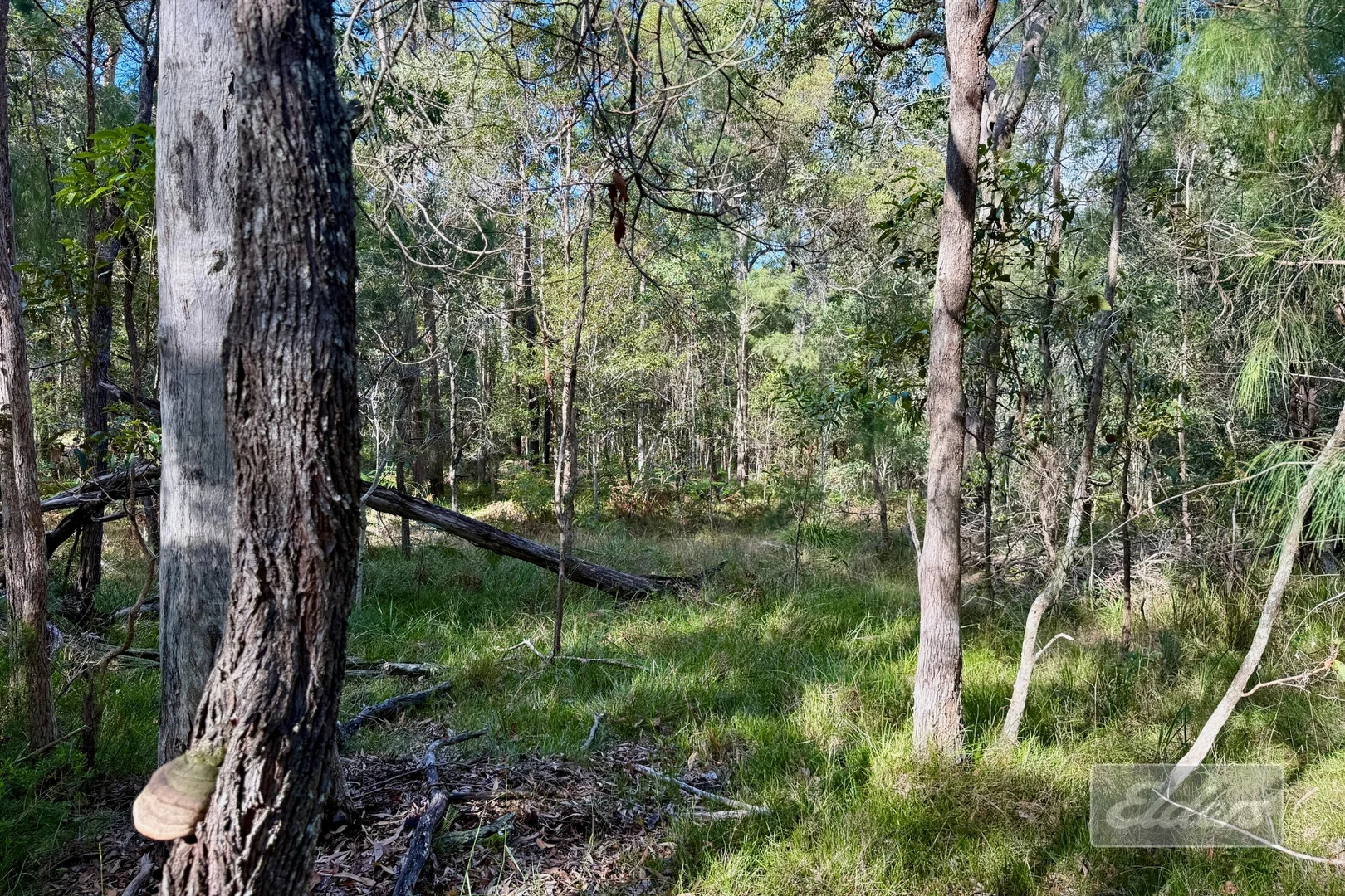 Image 12