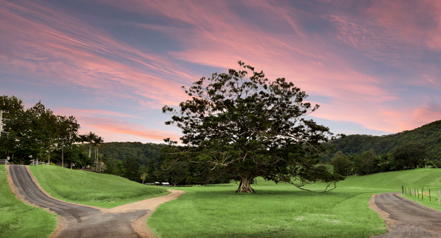 657 Cudgera Creek Road, Cudgera Creek NSW 2484, Image 0