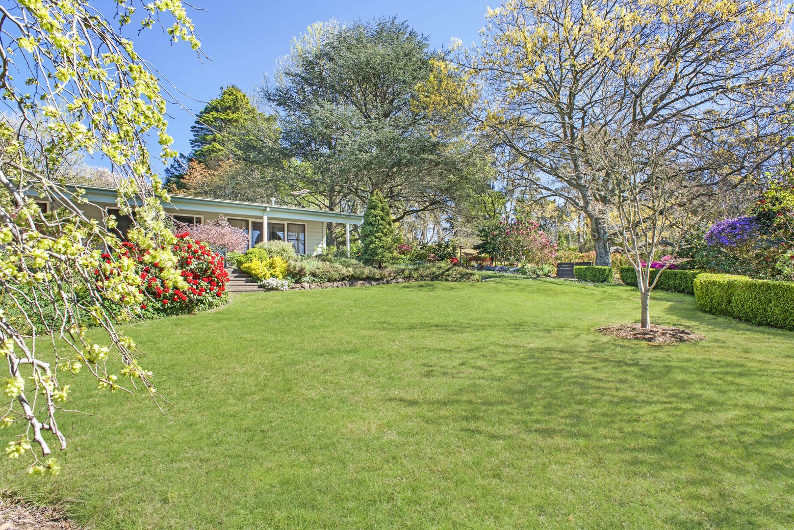 12 McLaughlin Avenue, Wentworth Falls NSW 2782, Image 2