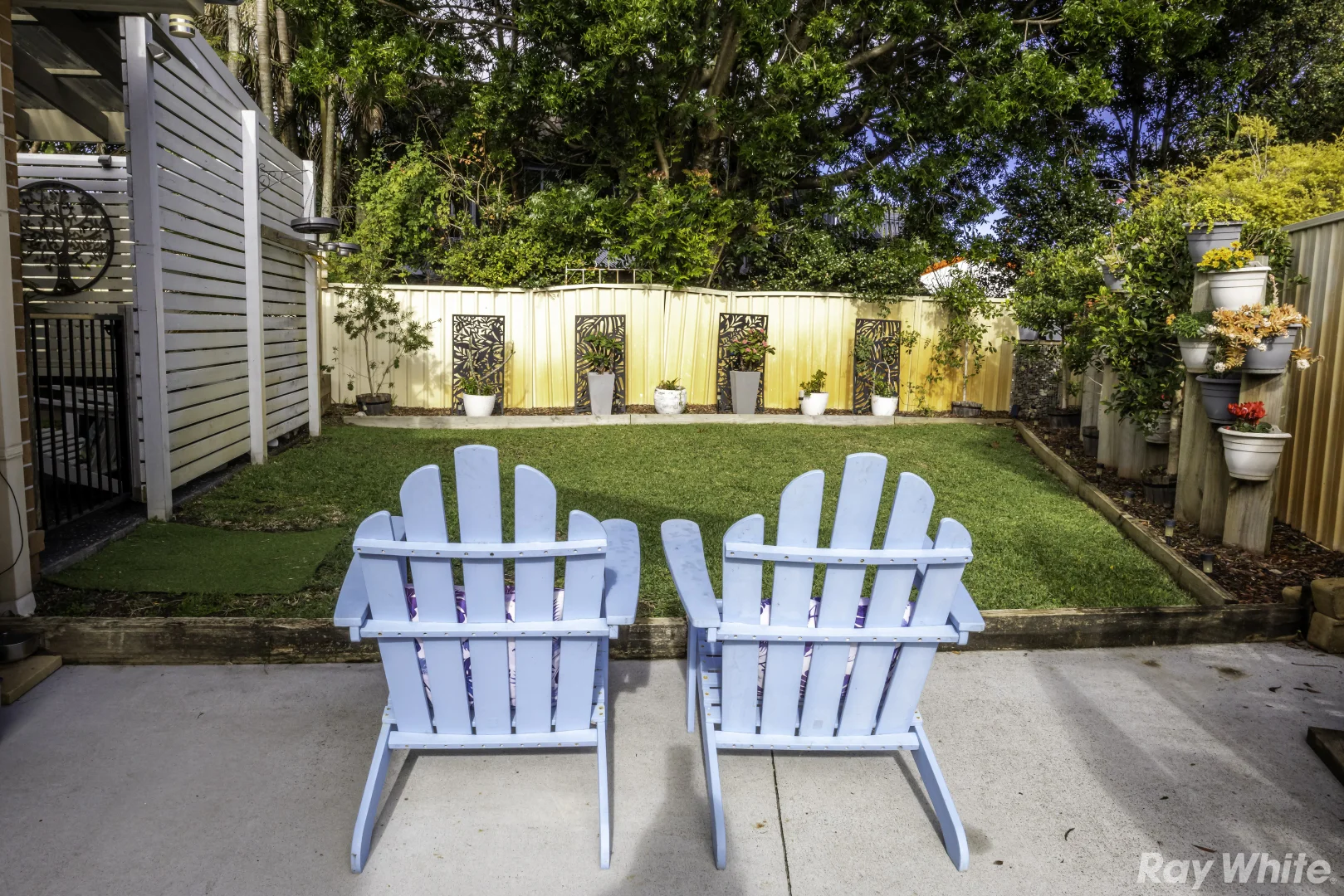 Image 12