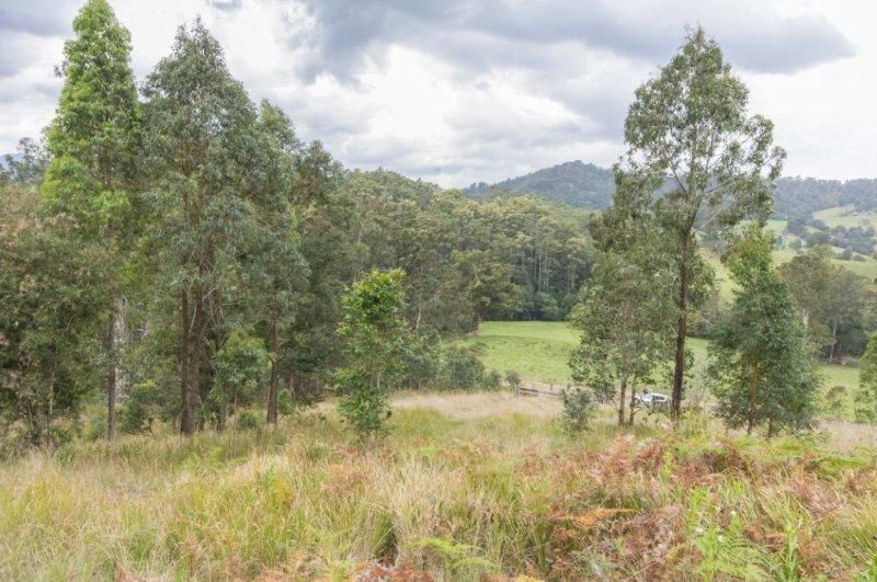 991 Mooral Creek Road, Strathcedar NSW 2429, Image 2