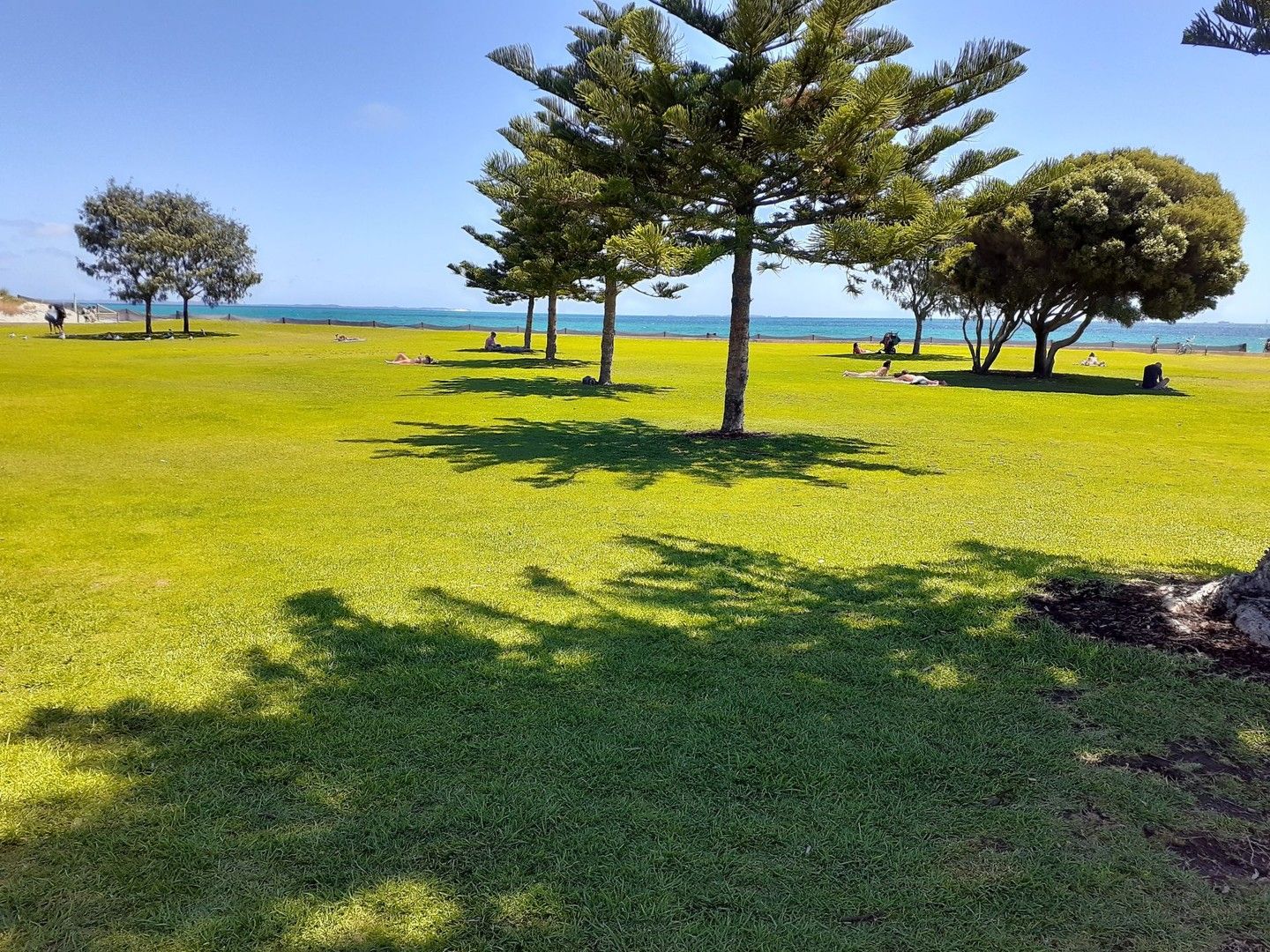 1 bedrooms Apartment / Unit / Flat in 1 Douro Road SOUTH FREMANTLE WA, 6162