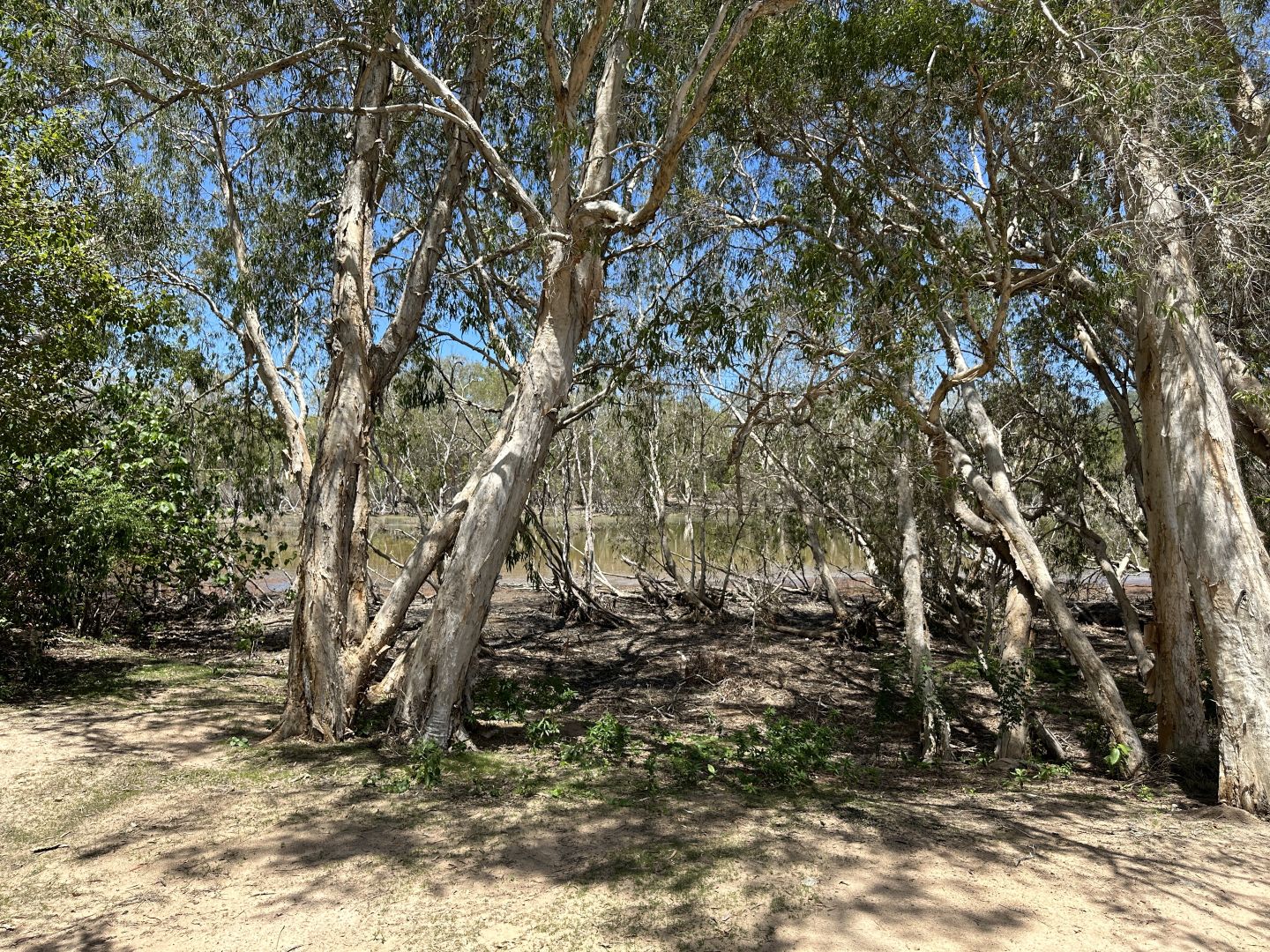 6 Rintoul Ct, Horseshoe Bay QLD 4819, Image 2