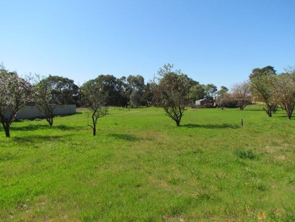 Lot 121 Langhorne Creek Road, Langhorne Creek SA 5255, Image 0