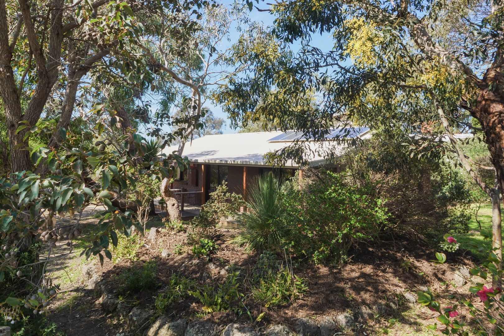 14 Murray Street, Anglesea VIC 3230, Image 1