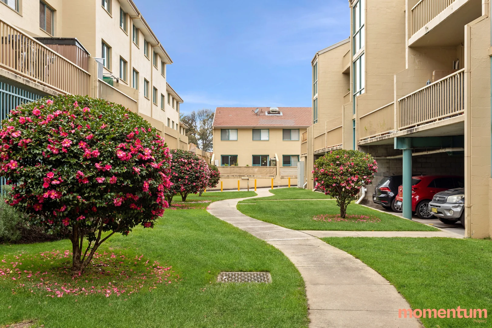 Image 15