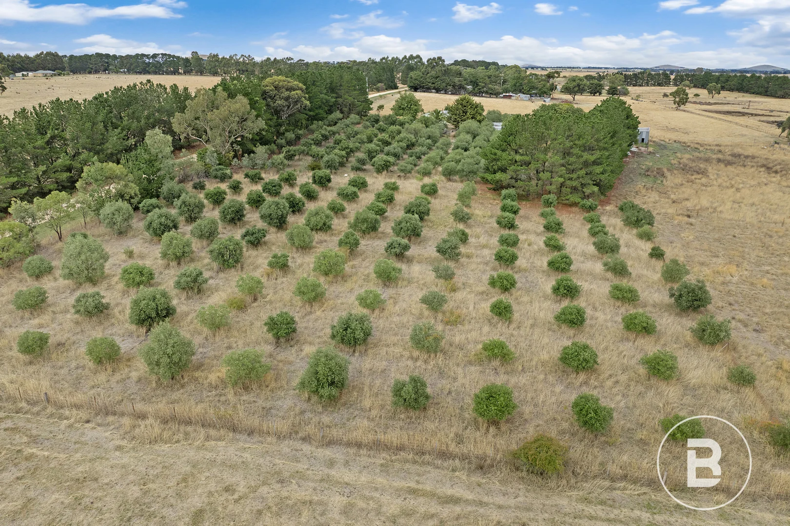 Additional image 7 of 60 Mclennans Road, Clunes VIC 3370