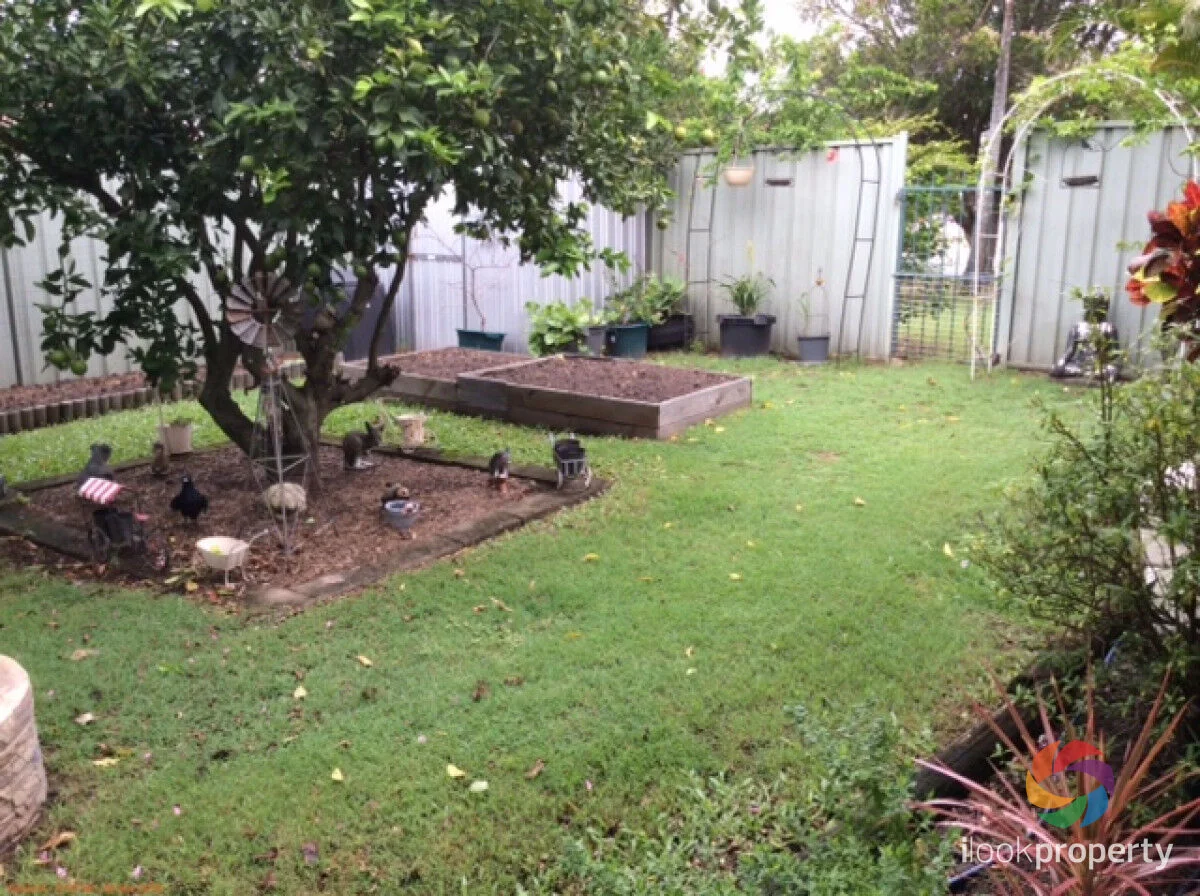 Additional image 7 of 17 Naroon Crescent, Wurtulla QLD 4575