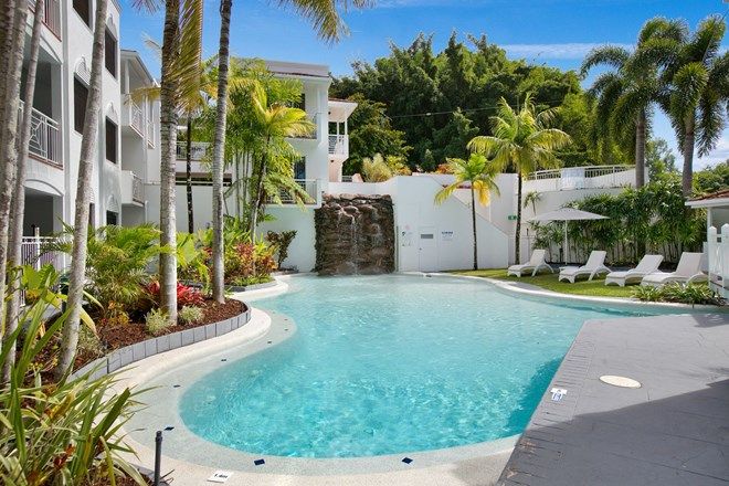 246 1 Bedroom Apartments Sold Auction Results In Palm Cove Qld 4879 Domain