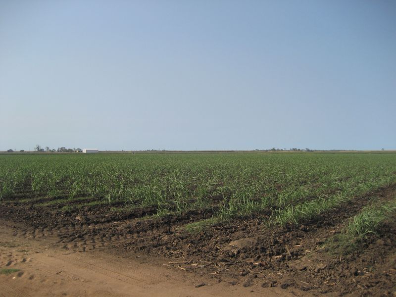 Brandon QLD 4808, Image 2