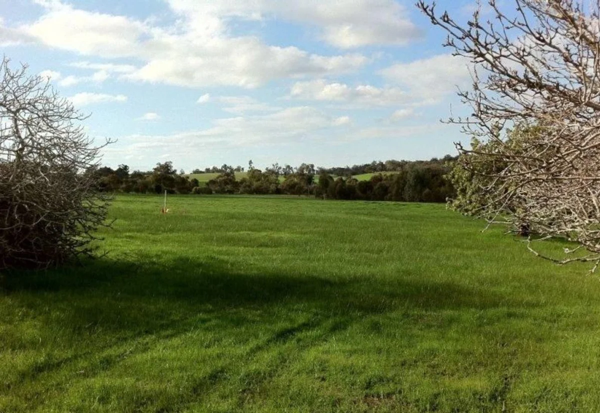 Image 18