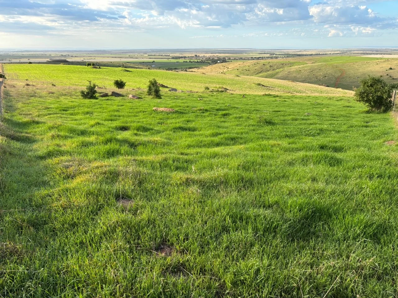 Additional image 4 of Lot 42 Harvey Well Road, Tumby Bay SA 5605