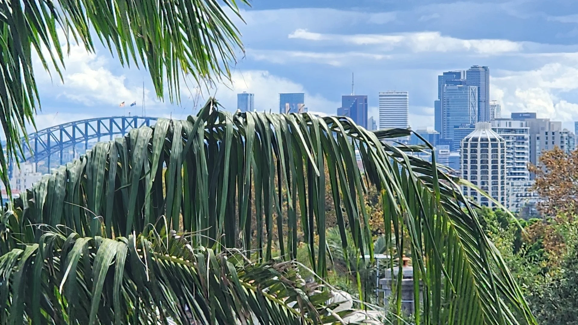 Primary image of 31/237 Underwood Street, Paddington NSW 2021