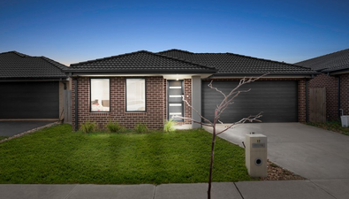 Picture of 17 Bolton Street, MELTON SOUTH VIC 3338