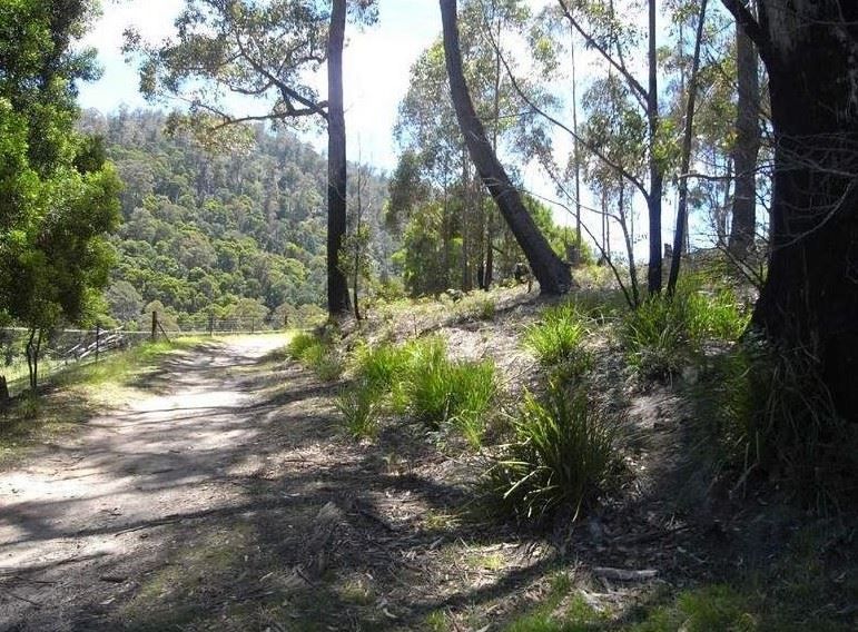 Lot 2 Nicklasons Road, Pyengana TAS 7216, Image 0