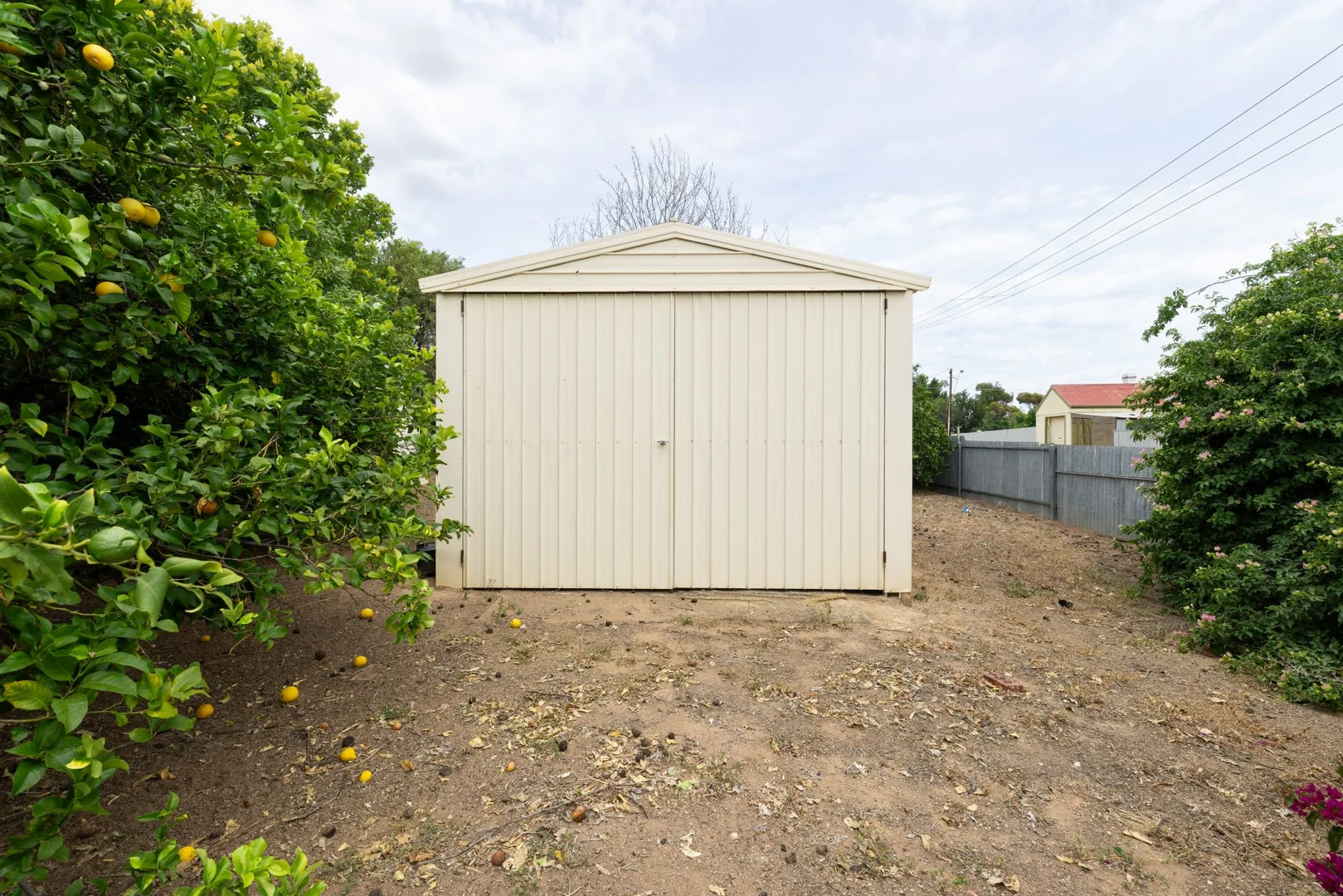 Image 15