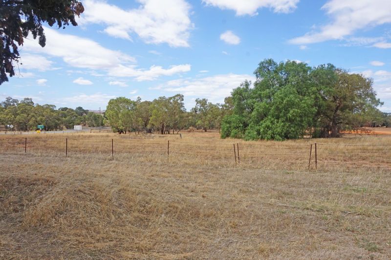 659 Old Junee Road, Old Junee NSW 2652