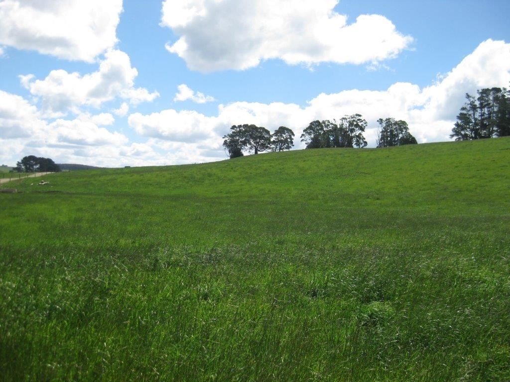Farm in 2021 Murchison Highway, HENRIETTA TAS, 7325
