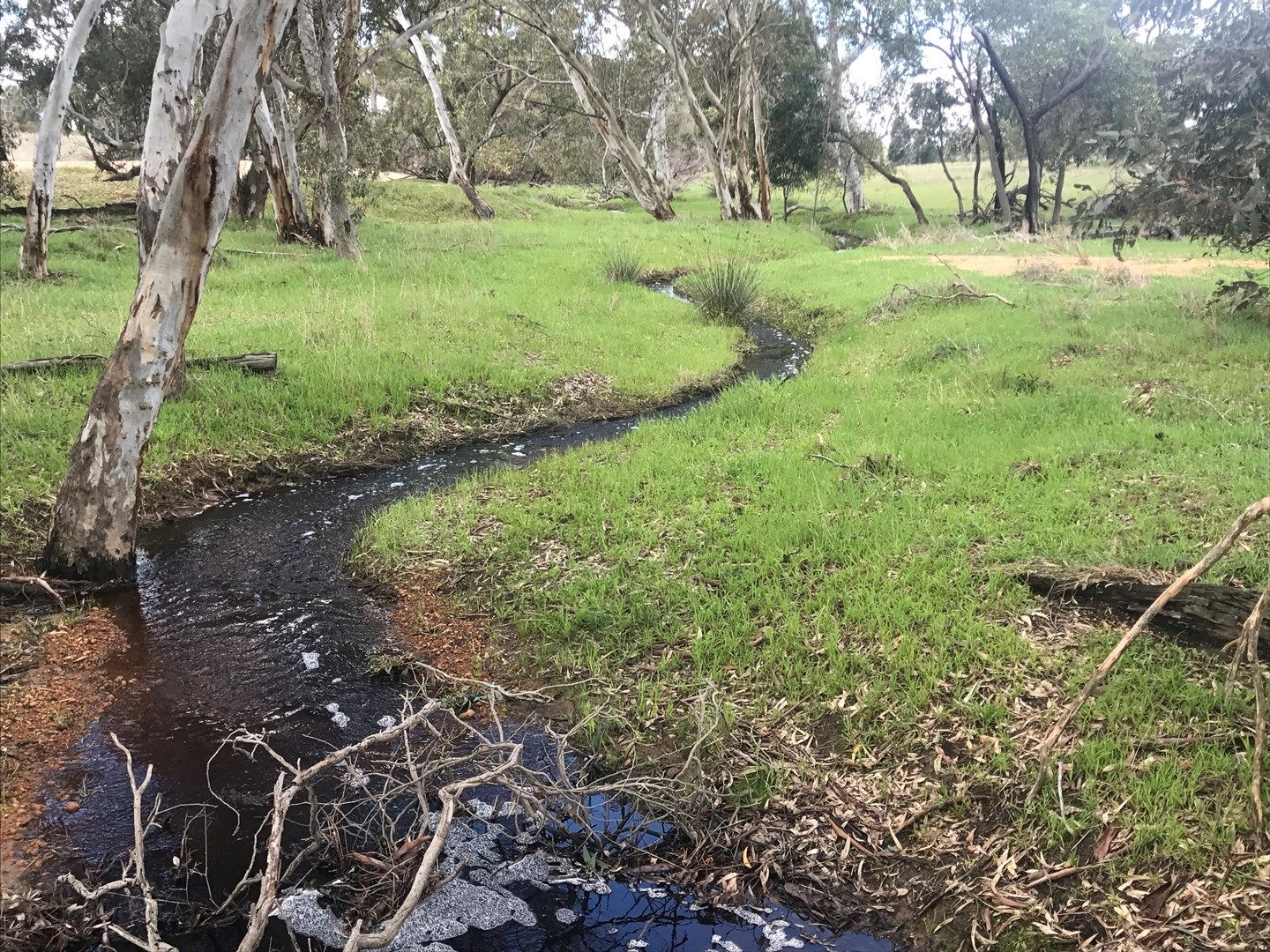 765 & 1009 Coalara Road, Badgingarra WA 6521, Image 0