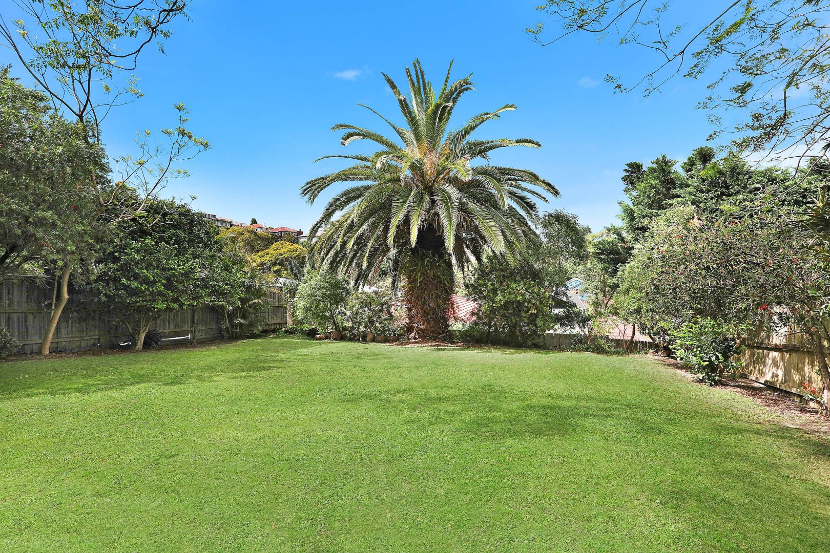 53 Liverpool Street, Rose Bay NSW 2029, Image 1