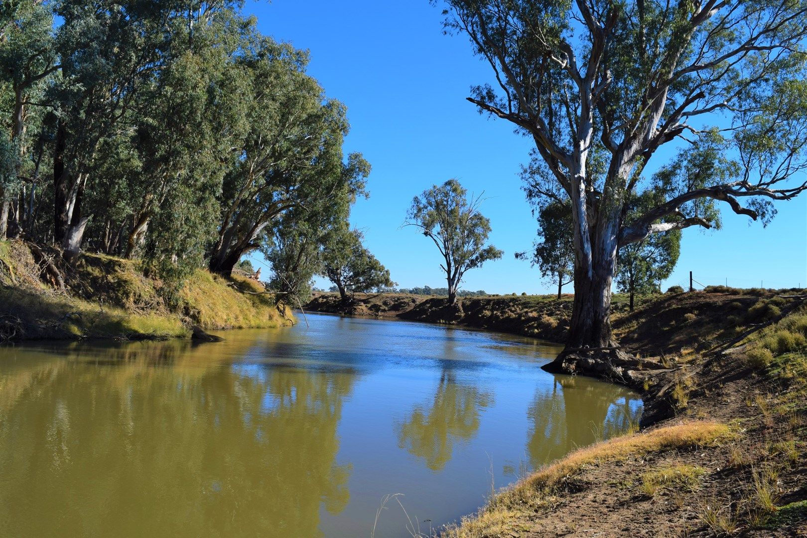 45 North Condobolin Road, Forbes NSW 2871, Image 0