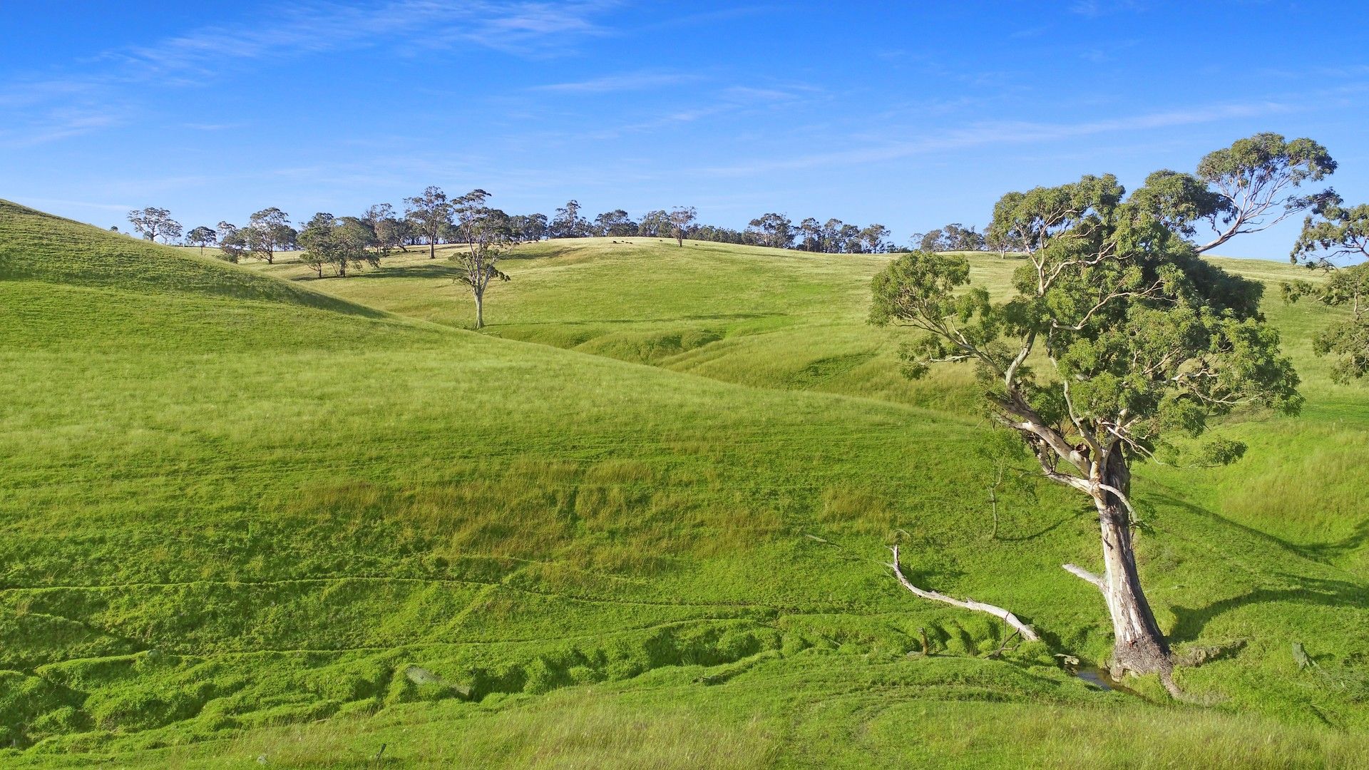 Lot 3 Licola Road, Glenmaggie VIC 3858, Image 2