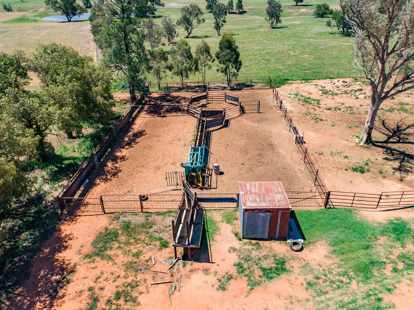 67 Murrays Road, Eugowra NSW 2806, Image 2