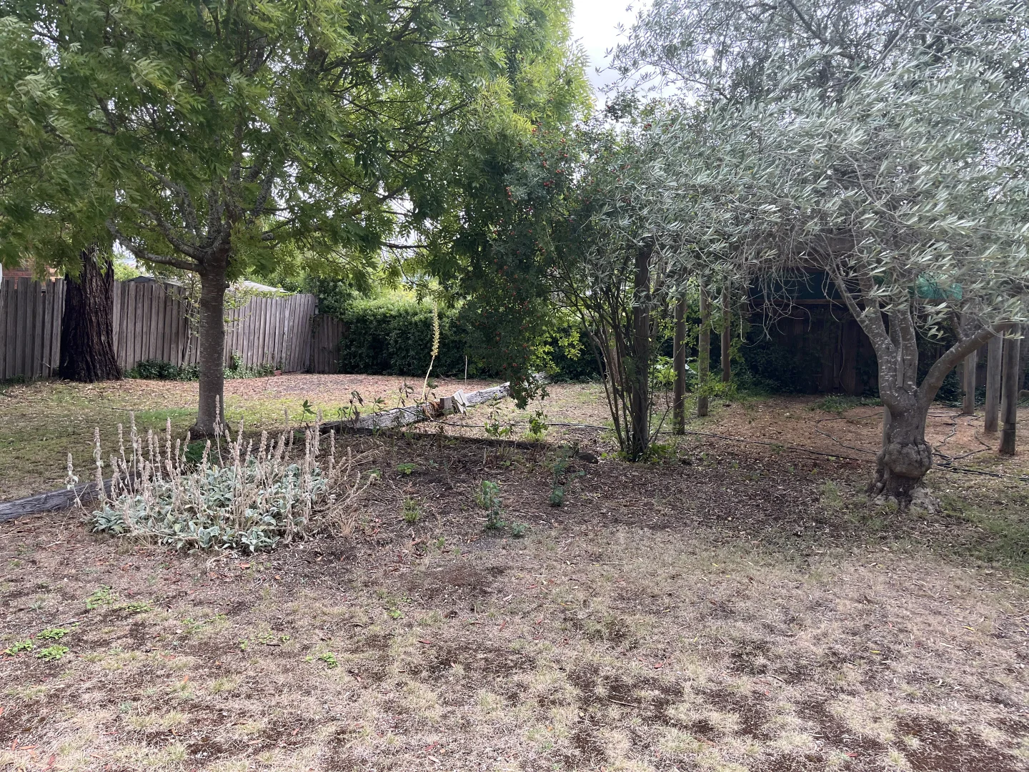 Additional image 10 of 91 Piper Street, Kyneton VIC 3444