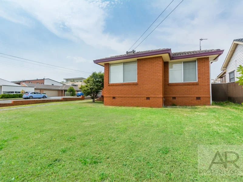 155 Pur Pur Avenue, Lake Illawarra NSW 2528