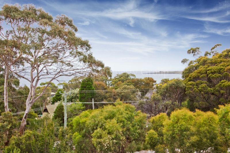 59 Hurst Street, Lulworth TAS 7252, Image 1