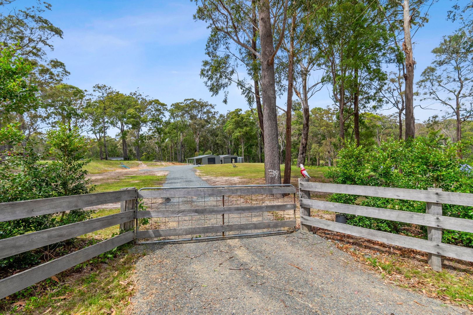 Lot 43 Charms Place, Bergalia NSW 2537, Image 1