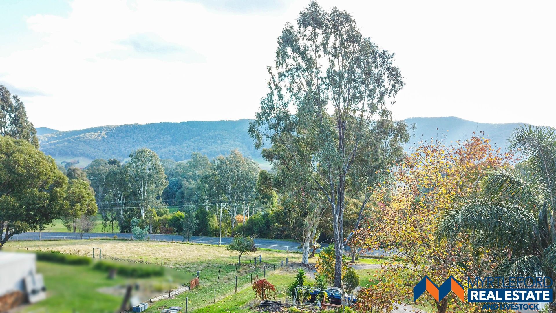 323 Buffalo River Road, Myrtleford VIC 3737, Image 2