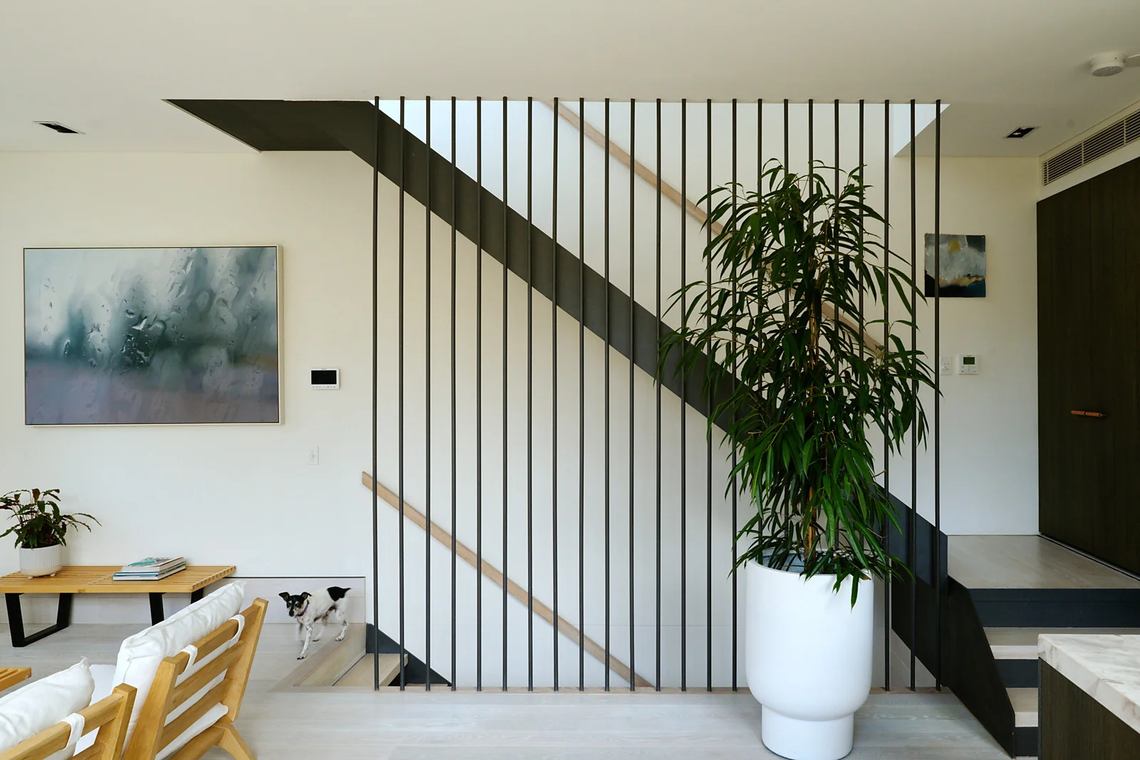 Additional image 8 of 155 Riley Street, Darlinghurst NSW 2010