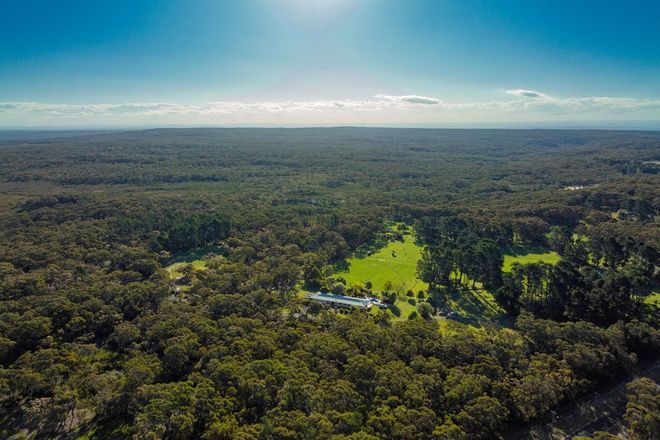 Picture of 128 Darkes Forest Road, DARKES FOREST NSW 2508