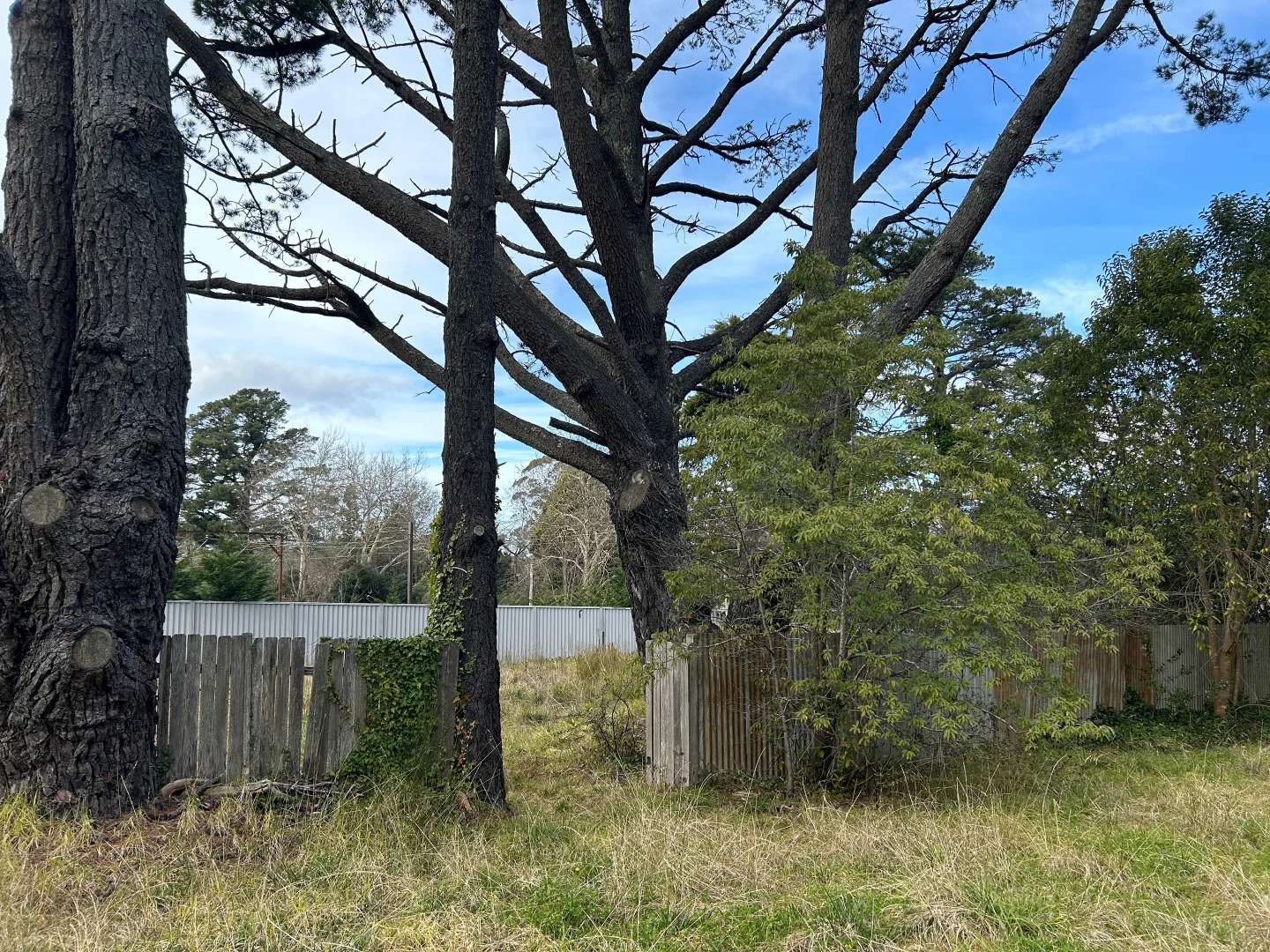 Additional image 9 of 12-14 Great Western Highway, Leura NSW 2780