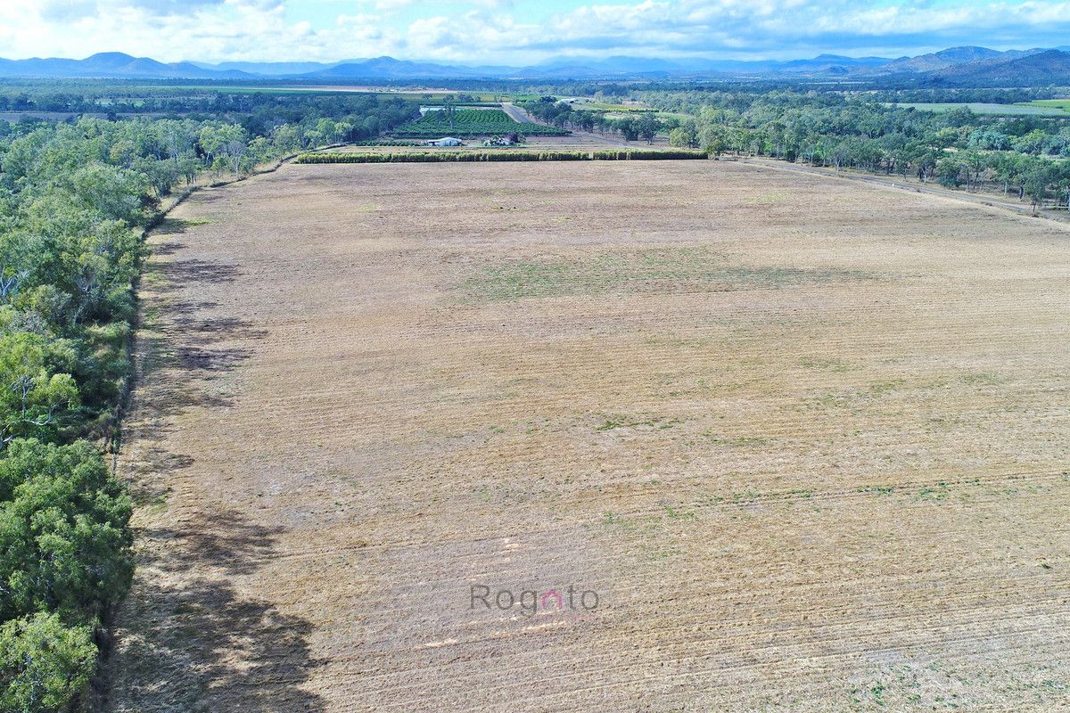 Mutchilba QLD 4872, Image 0