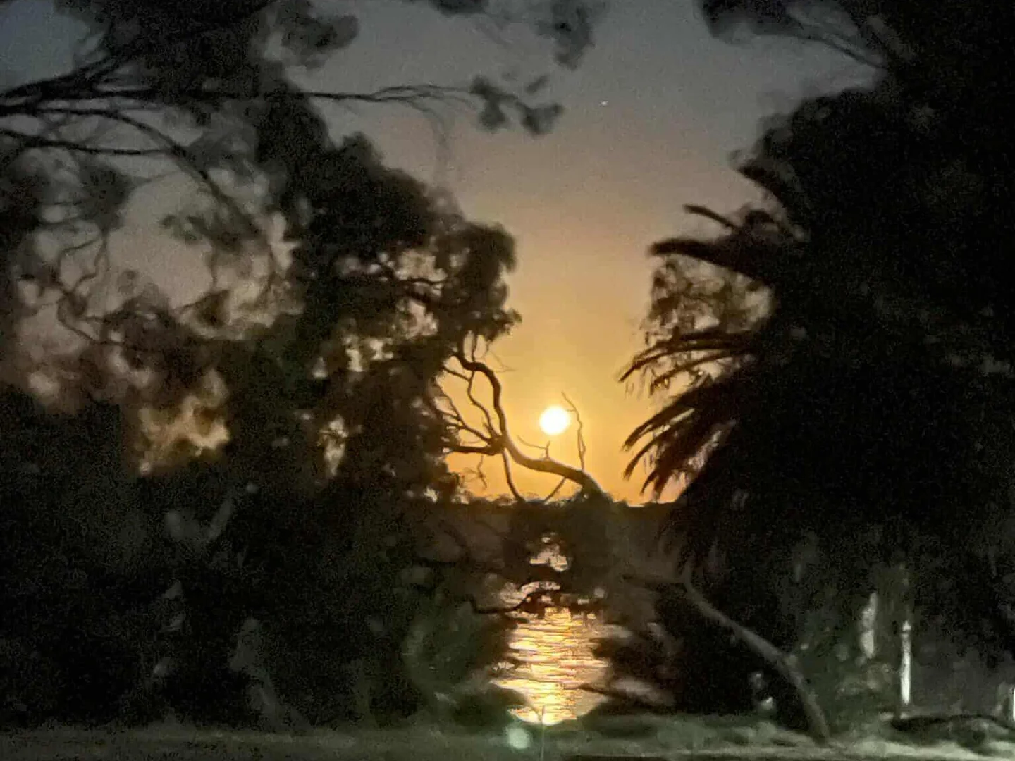 Image 18