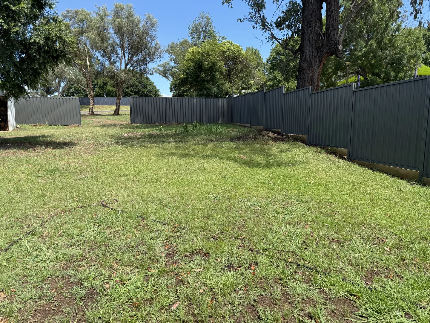 Image 15