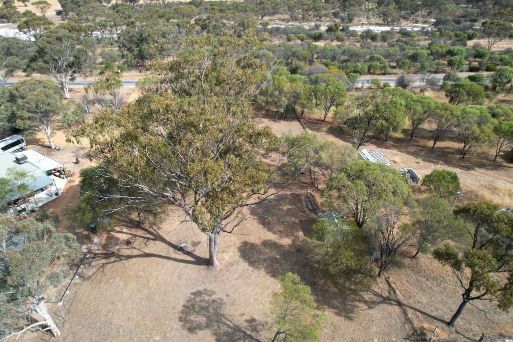 Lot 115 Quairading - York Road, Mount Hardey WA 6302, Image 1