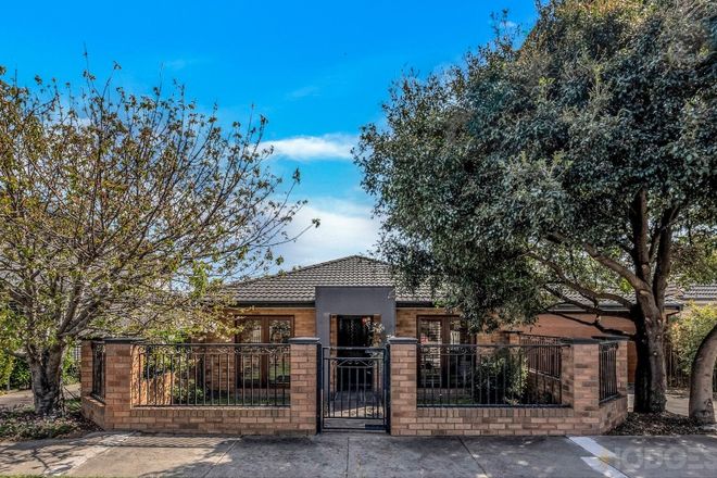 Picture of 39A Riviera Street, MENTONE VIC 3194